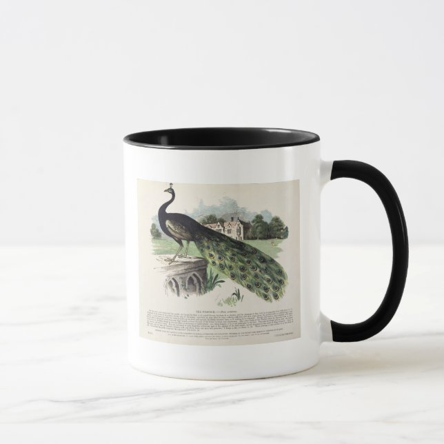 Pfau Tasse (Rechts)