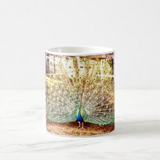 Pfau, Tasse