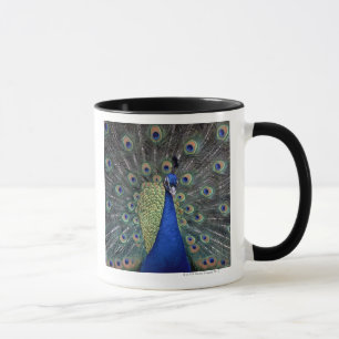 Pfau Tasse