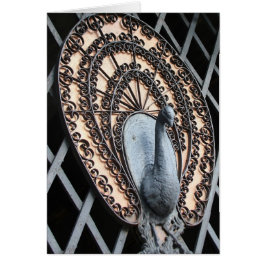 "Pfau-Tor-" - Foto-Kunst