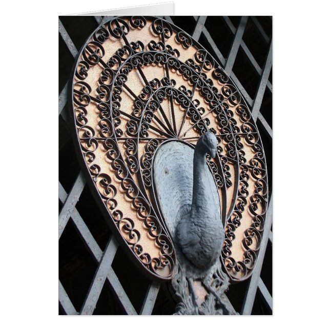 "Pfau-Tor-" - Foto-Kunst (Vorne)