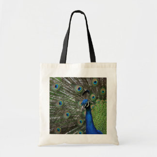 Pfau Tragetasche