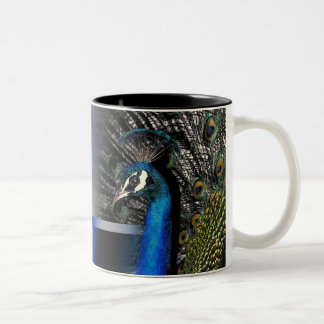 Pfau-Träume Zweifarbige Tasse