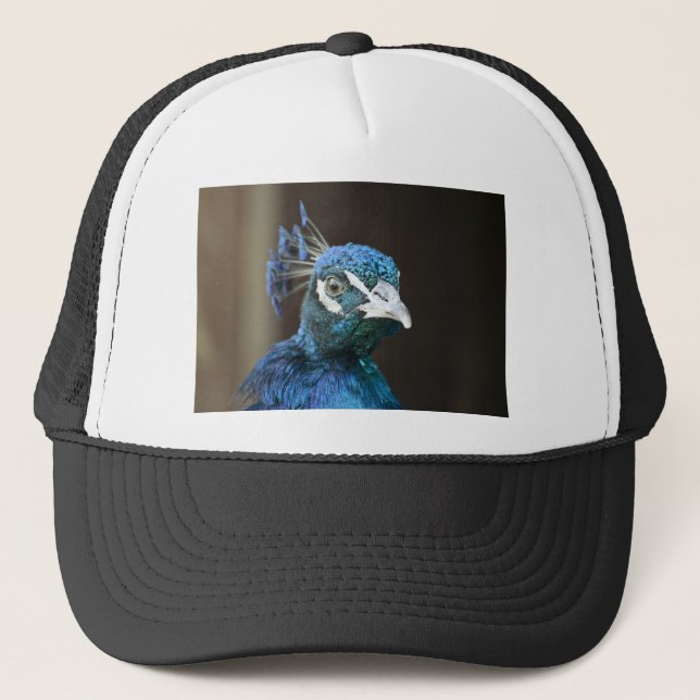 Pfau Truckerkappe (Vorderseite)