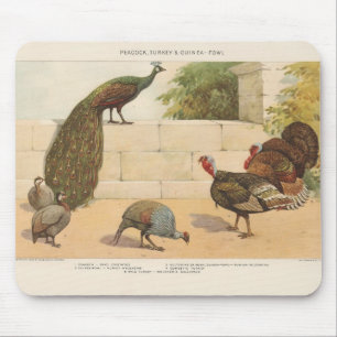 Pfau, Türkei & Guinea Fowl Mousepad