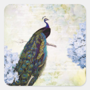 Pfau und Hortensie Quadratischer Aufkleber