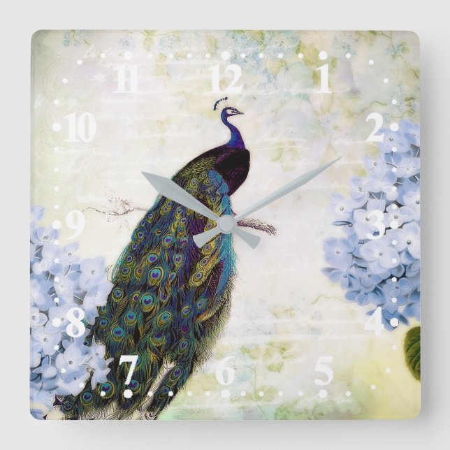 Pfau und Hydrangea Quadratische Wanduhr (Vorderseite)