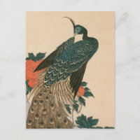 Pfau und Pfaue von Hiroshige, japanische Kunst
