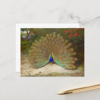 Pfau und Pfauenschmetterling, KunstIllustration Postkarte