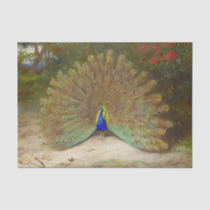 Pfau und Pfauenschmetterling, KunstIllustration Seidenpapier