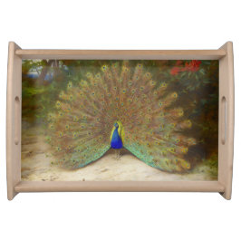 Pfau und Pfauenschmetterling, KunstIllustration Serviertablett