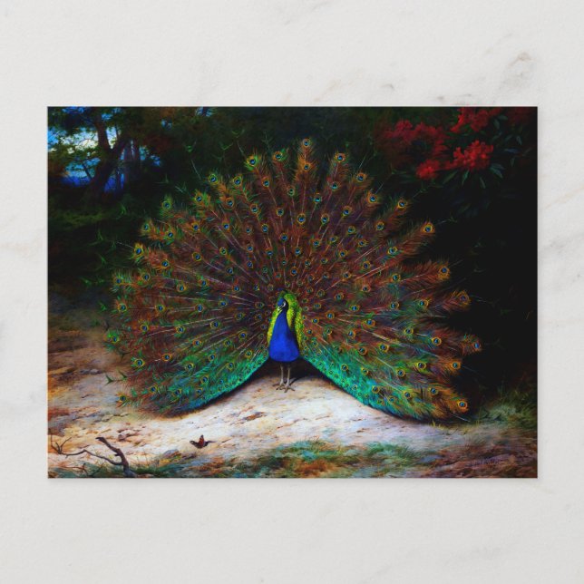 Pfau und Pfauenschmetterling Postkarte (Vorderseite)
