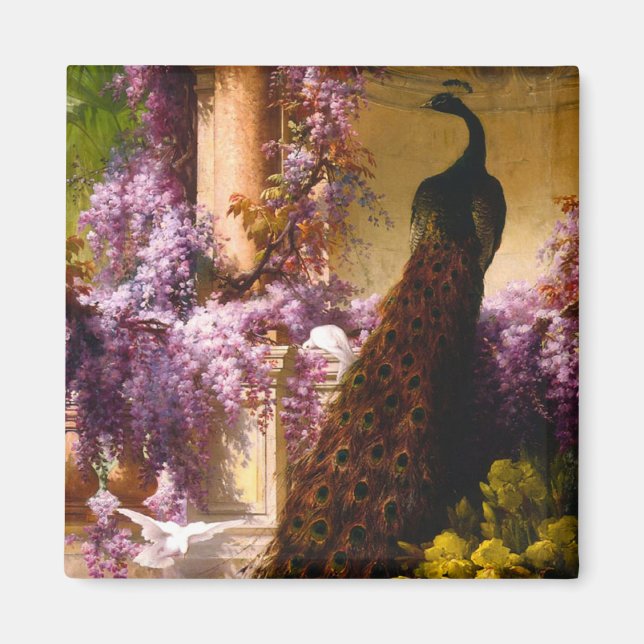 Pfau und Tauben im Garten Magnet (Vorne)