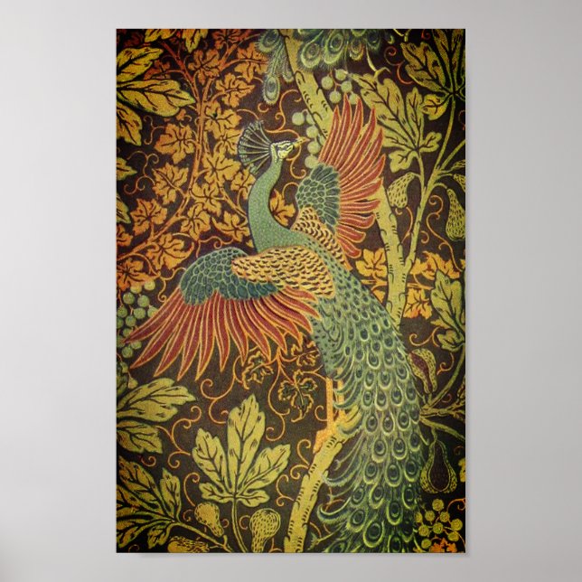 Pfau und Viktorianischer Kakhahn Poster (Vorne)