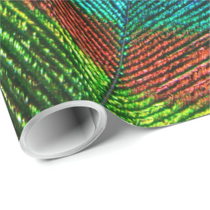 Pfau versieht Packpapier der Wahl-6A-6B mit Federn