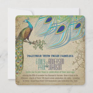 Pfau Vintag 3 Federn Altes Papier Einladung