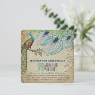 Pfau Vintag 3 Federn Altes Papier Einladung