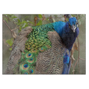 Pfau-Vogel-Schneidebrett Schneidebrett