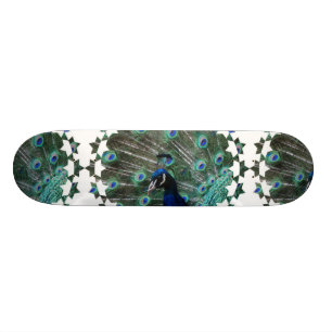 Pfau-VogelSkateboard Skateboard