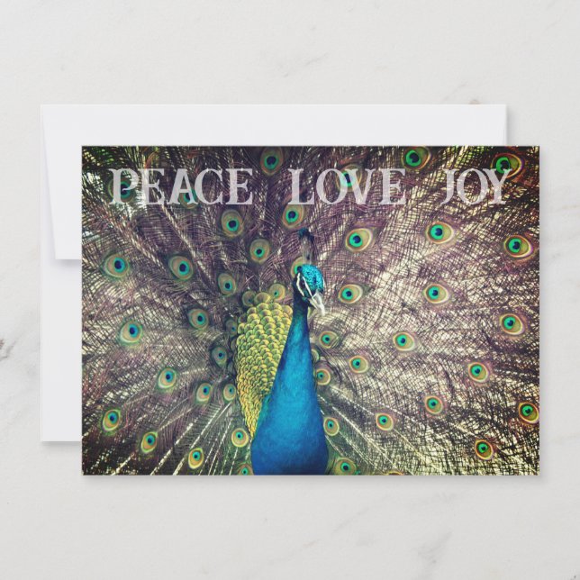 Pfau-Weihnachtskarte Karte (Vorderseite)