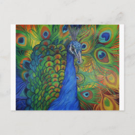 Pfau Zeichnend Postkarte