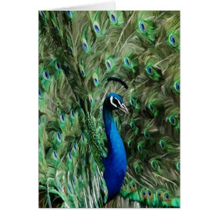 Pfauanmerkungssorgfalt