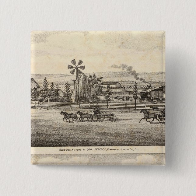 Pfaue, Willow Glen Button (Vorderseite)