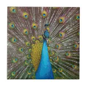 Pfauen Kunst Jewel Tone Farben Fliese
