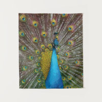 Pfauen Kunst Jewel Tone Farben