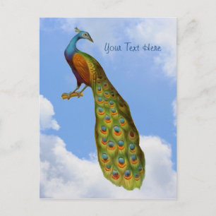 Pfauen-Kunst-Vogel-Postkarte Postkarte