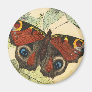 Pfauenauge Magnet