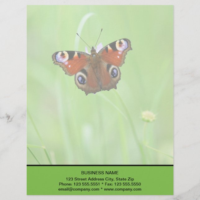 Pfauenauge Schmetterling Briefbogen (Vorderseite)