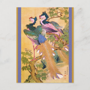 Pfauenaugenfleck Postkarte