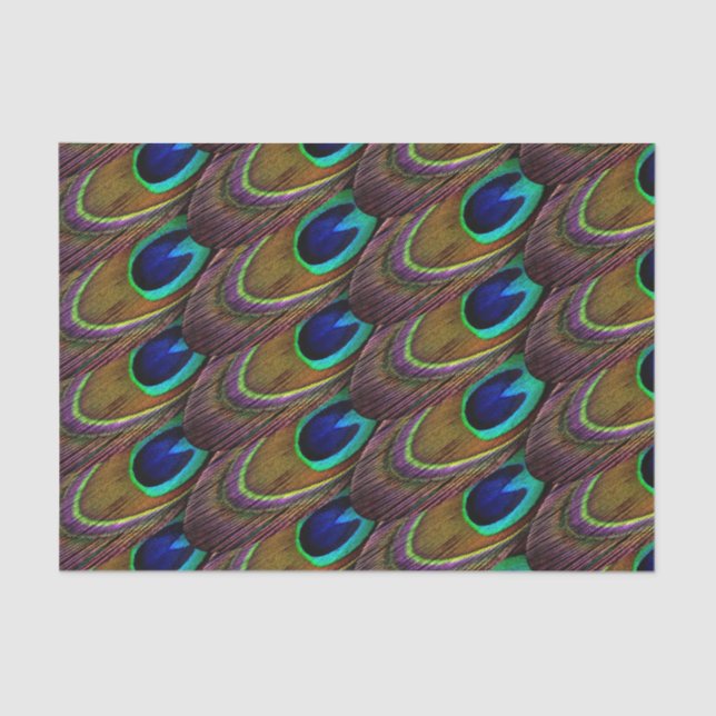 Pfauenblau und lila Federn Seidenpapier (Vorderseite)