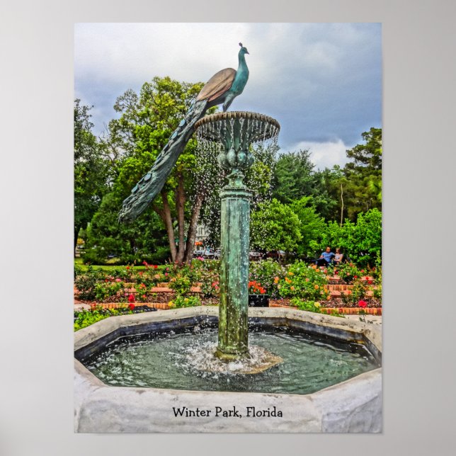 Pfauenbrunnen & Rose Garden im Winter Park FL Poster (Vorne)