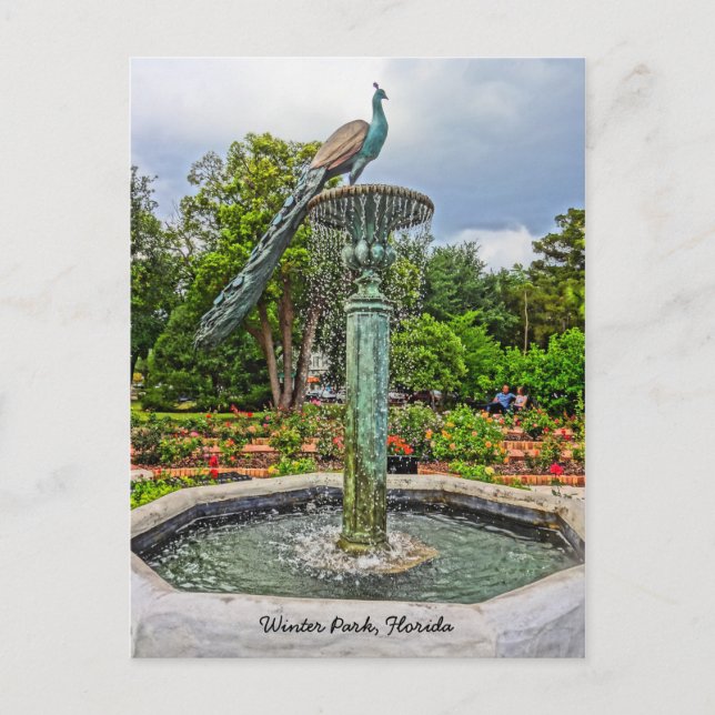 Pfauenbrunnen & Rose Garden im Winter Park FL Postkarte (Vorderseite)