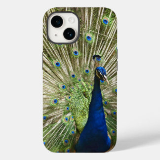 Pfauendarstellung Case-Mate iPhone 14 Hülle
