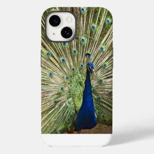 Pfauendarstellung iPhone 14 Hülle