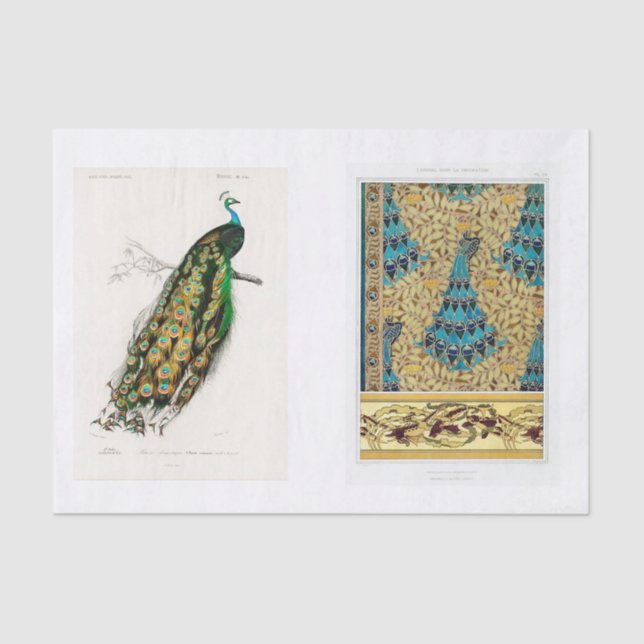 Pfauendekutationspapier Seidenpapier (Vorderseite)