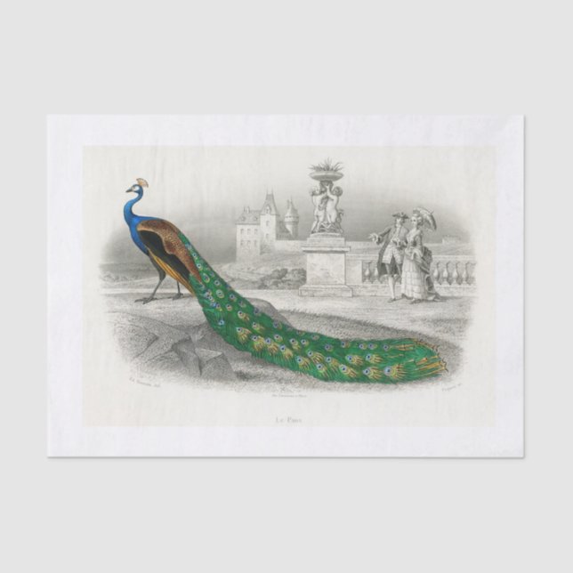 Pfauendekutationspapier Seidenpapier (Vorderseite)