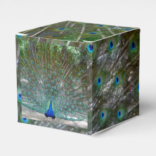 Pfauendesign-Party Geschenkschachtel