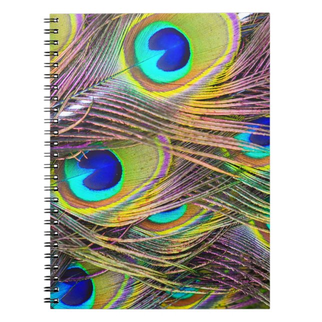 Pfauenfeathers 5 Notebooks Notizblock (Vorderseite)