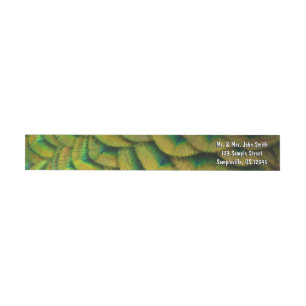 Pfauenfeathers II Farbenfrohe Natur