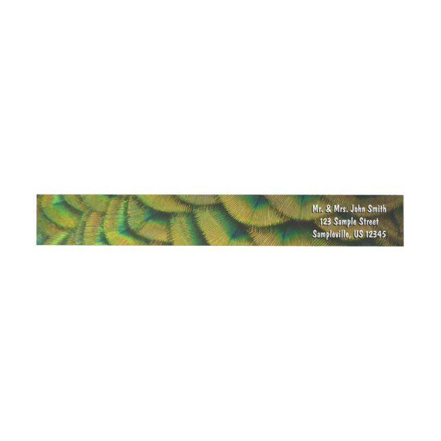 Pfauenfeathers II Farbenfrohe Natur (Person)