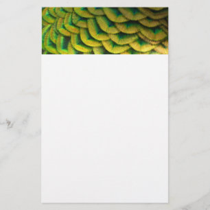 Pfauenfeathers II Farbenfrohe Natur Briefpapier