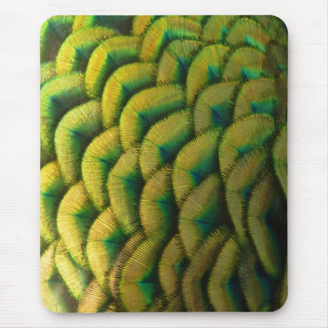 Pfauenfeathers II Farbenfrohe Natur Mousepad (Vorne)