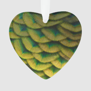 Pfauenfeathers II Farbenfrohe Natur Ornament
