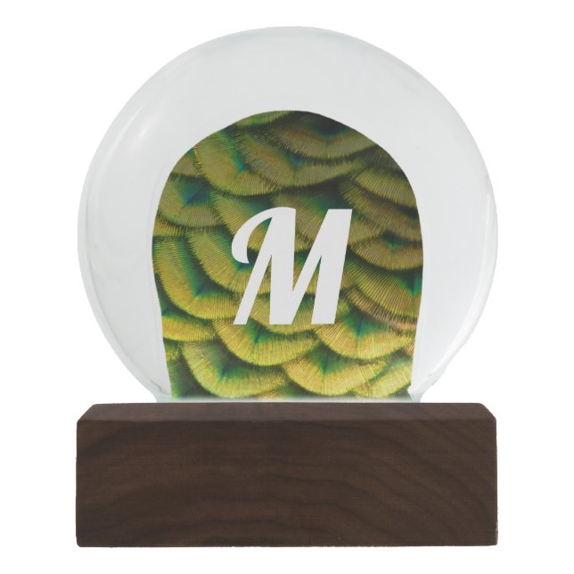 Pfauenfeathers II Farbenfrohe Natur Schneekugel (Vorderseite)