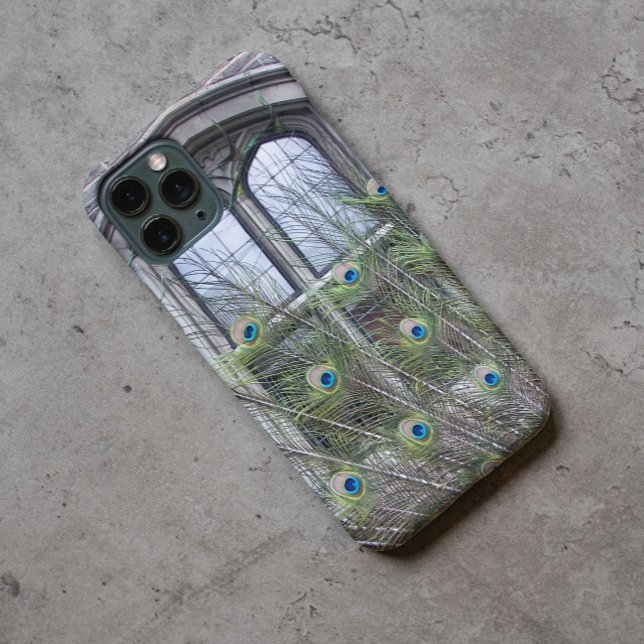 Pfauenfeathers und gotisches Windows-Foto Case-Mate iPhone Hülle (In Situ)