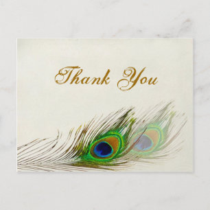 Pfauenfeathers Wedding Danke Postcard Postkarte